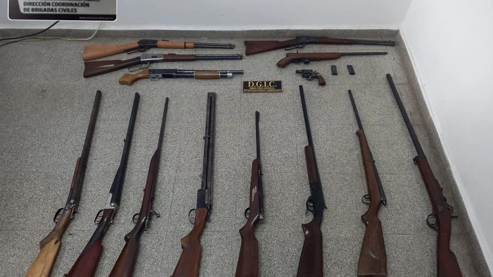Operativo policial en Córdoba: incautan armas, estupefacientes y animales