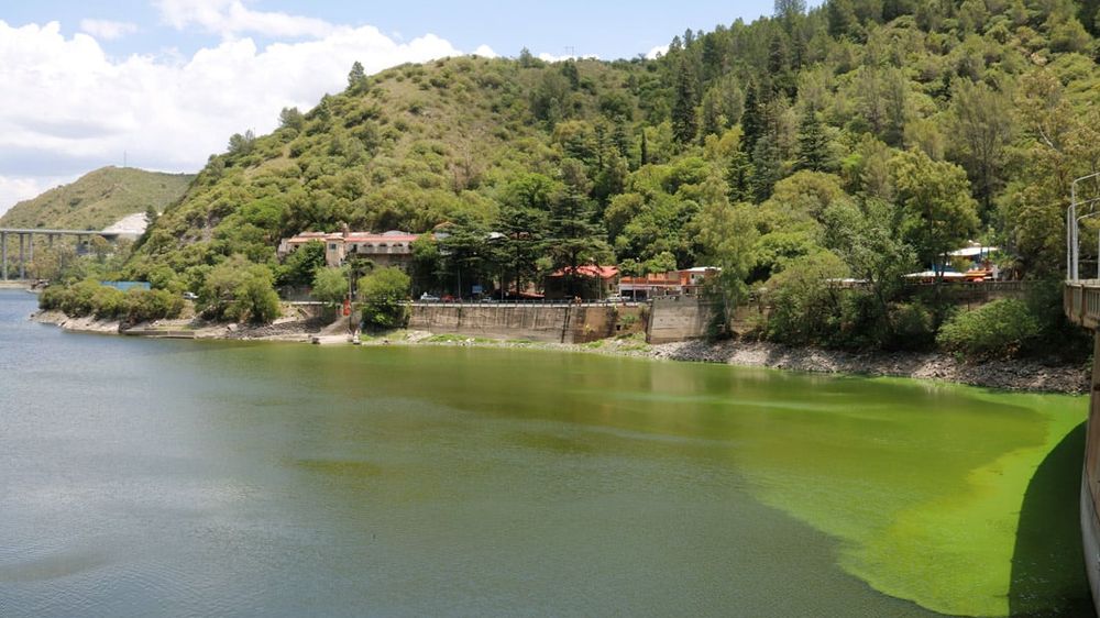 Dique San Roque: Avanzan estrategias innovadoras para su saneamiento