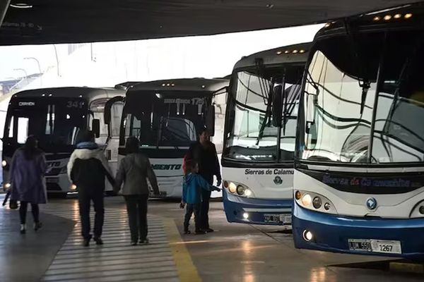 Transporte interurbano en crisis: empresas advierten sobre la gratuidad de pasajes