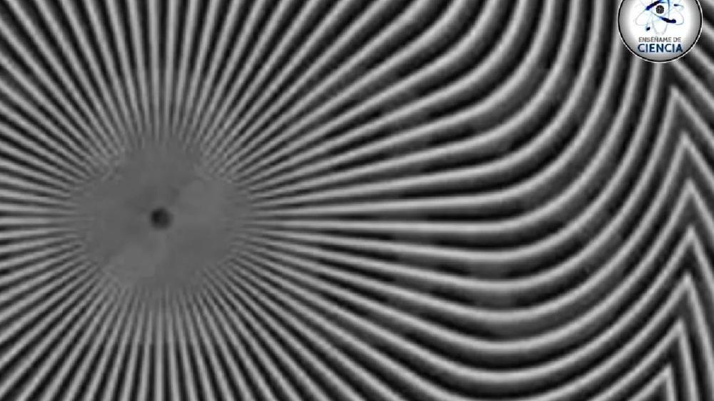 Desafío visual en redes: ¿Logra identificar el número oculto en la imagen?