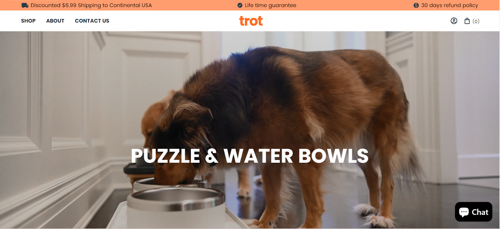 TrotPets website homepage