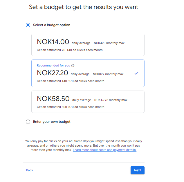 Google ads choosing a budget
