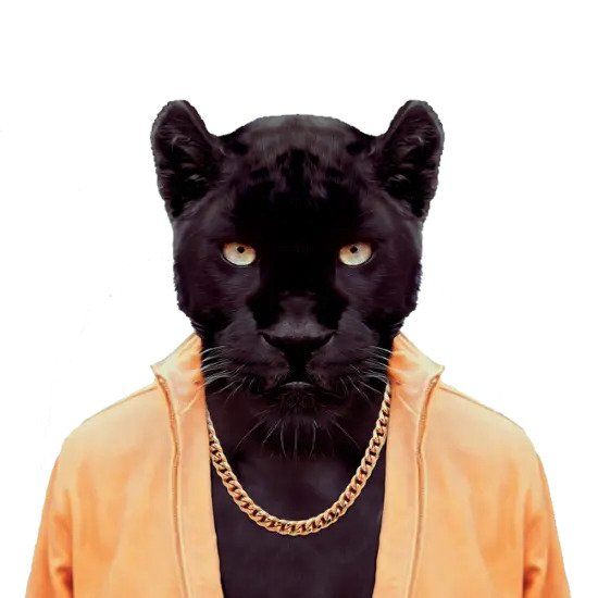 lion in orange hoodie and gold chain