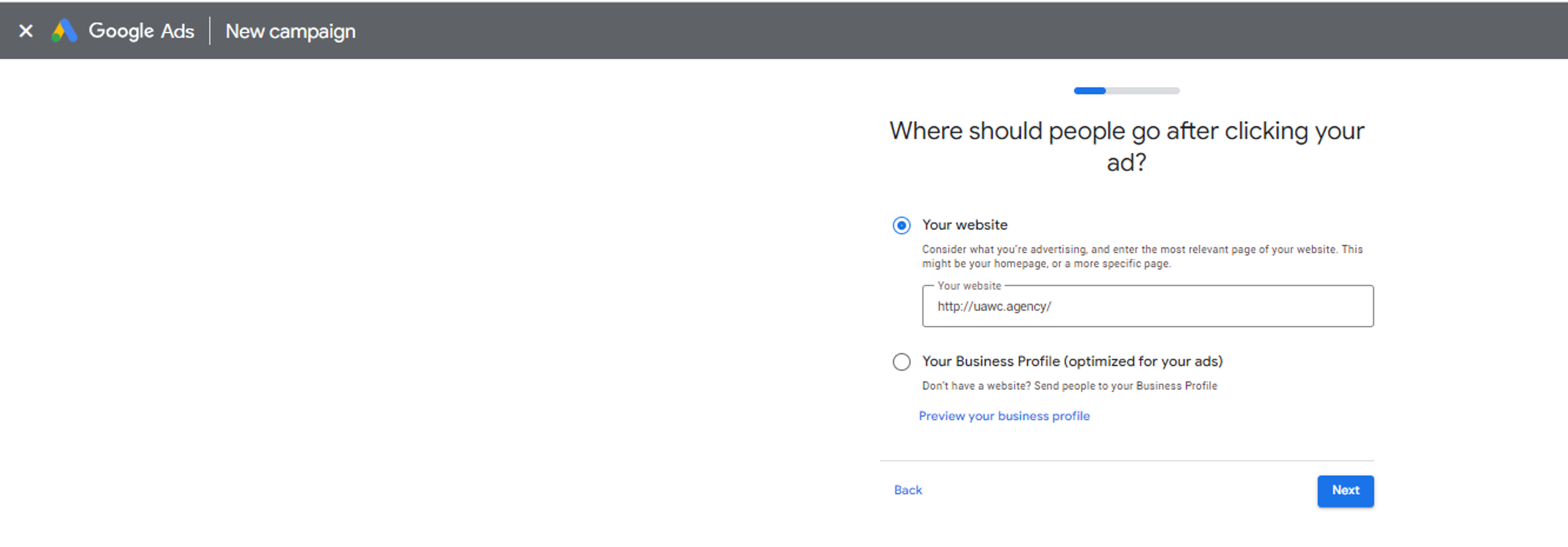 Google ads choosing a landing page for an ad campaign