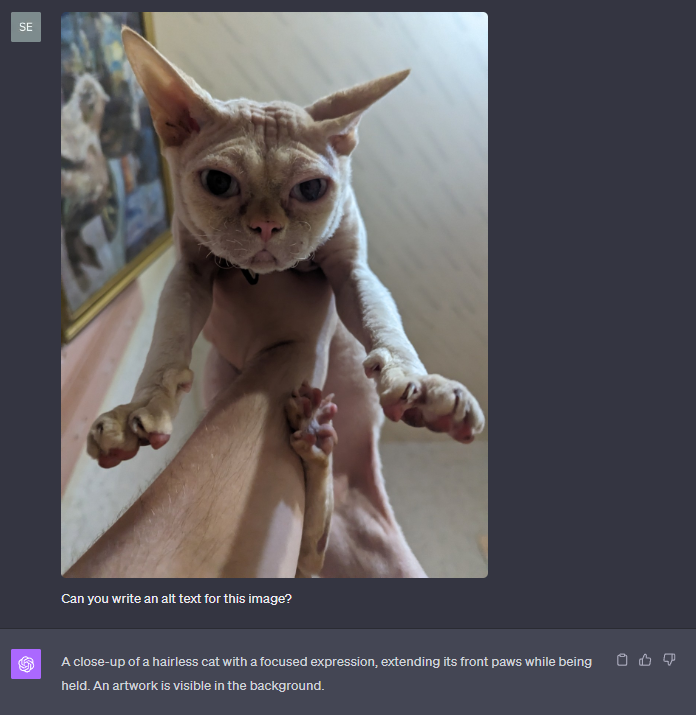 ChatGPT's alt text for an image of a Devon Rex cat being held: A close-up of a hairless cat with a focused expression, extending its front paws while being held. An artwork is visible in the background.