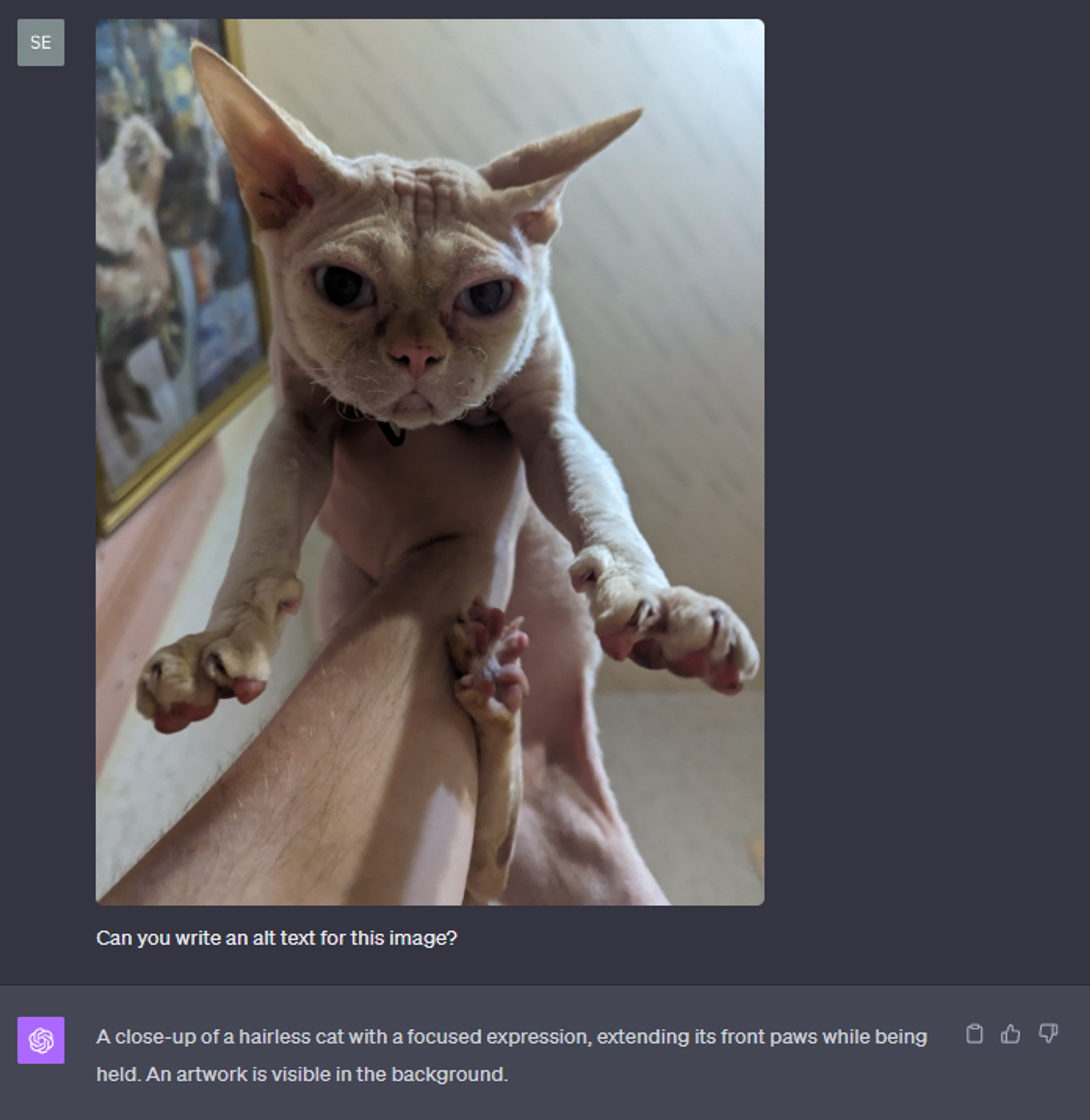 ChatGPT's alt text for an image of a Devon Rex cat being held: A close-up of a hairless cat with a focused expression, extending its front paws while being held. An artwork is visible in the background.