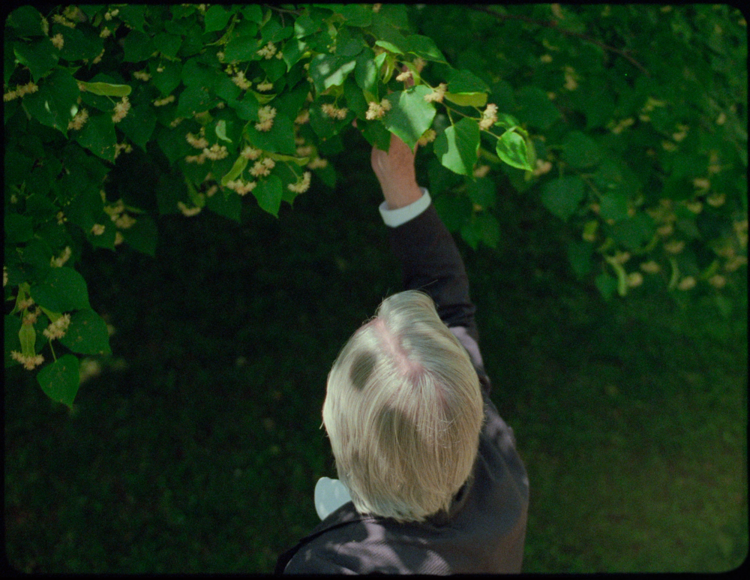 Screenshot 2025-10-29 at 10.00.09