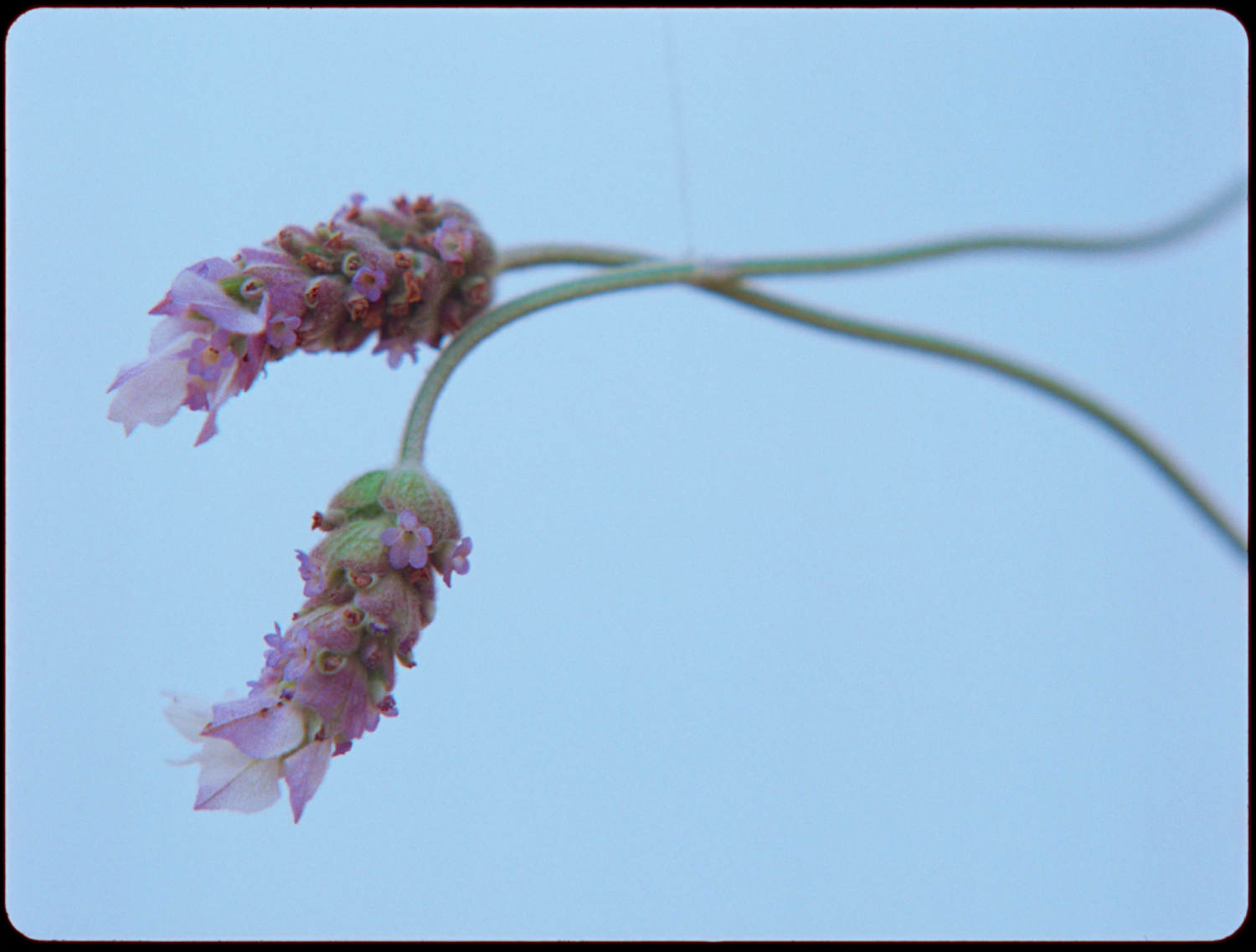 Screenshot 2025-10-29 at 10.04.26