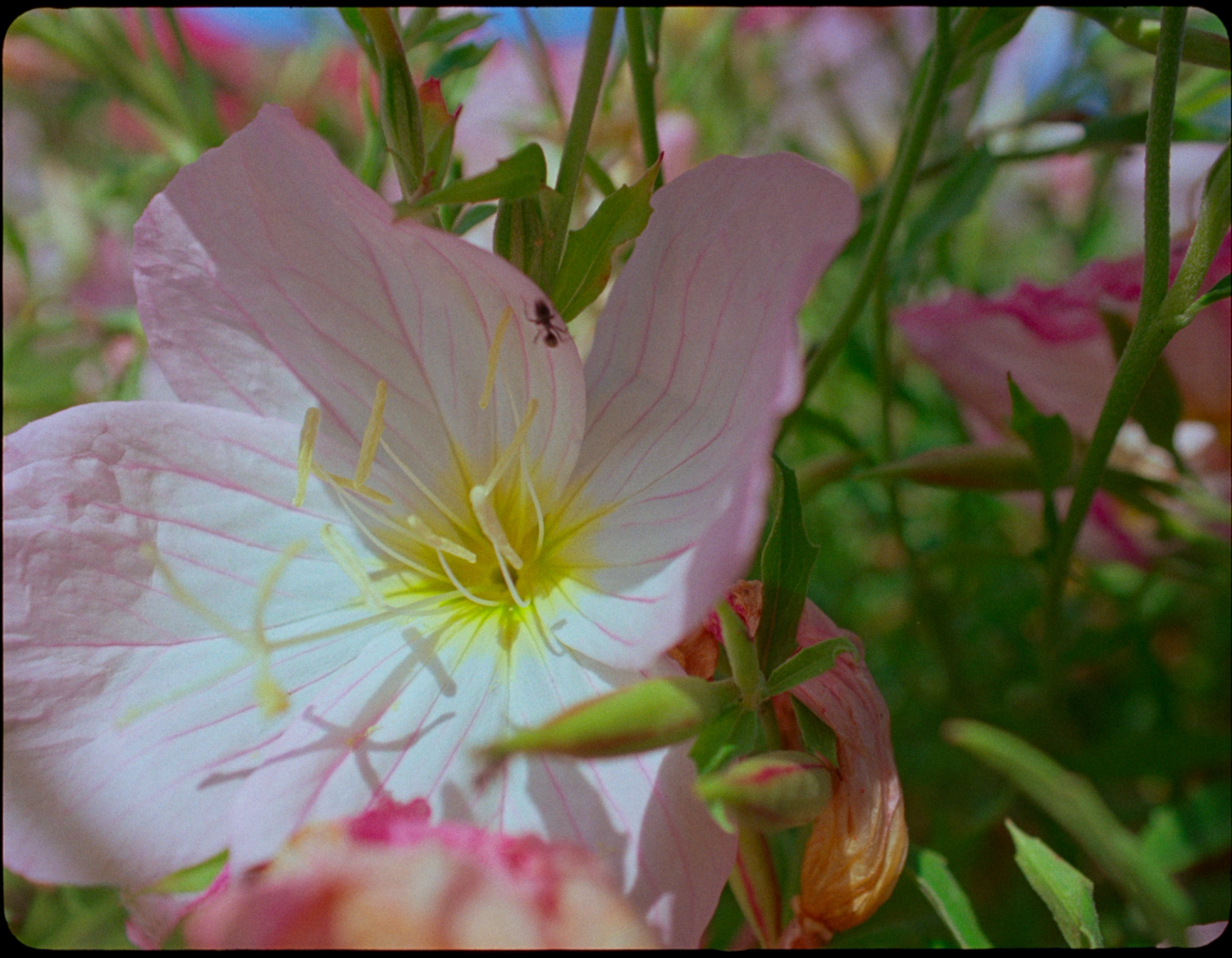 Screenshot 2025-10-29 at 09.38.44