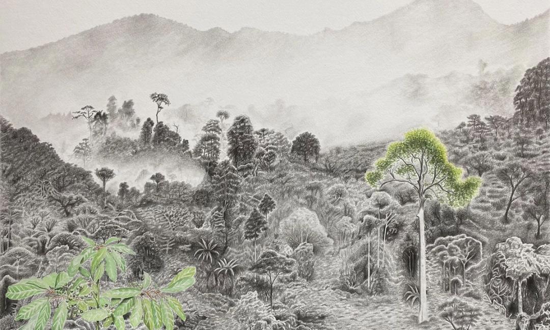 Judit Prieto / Nurture Nature at J’adore