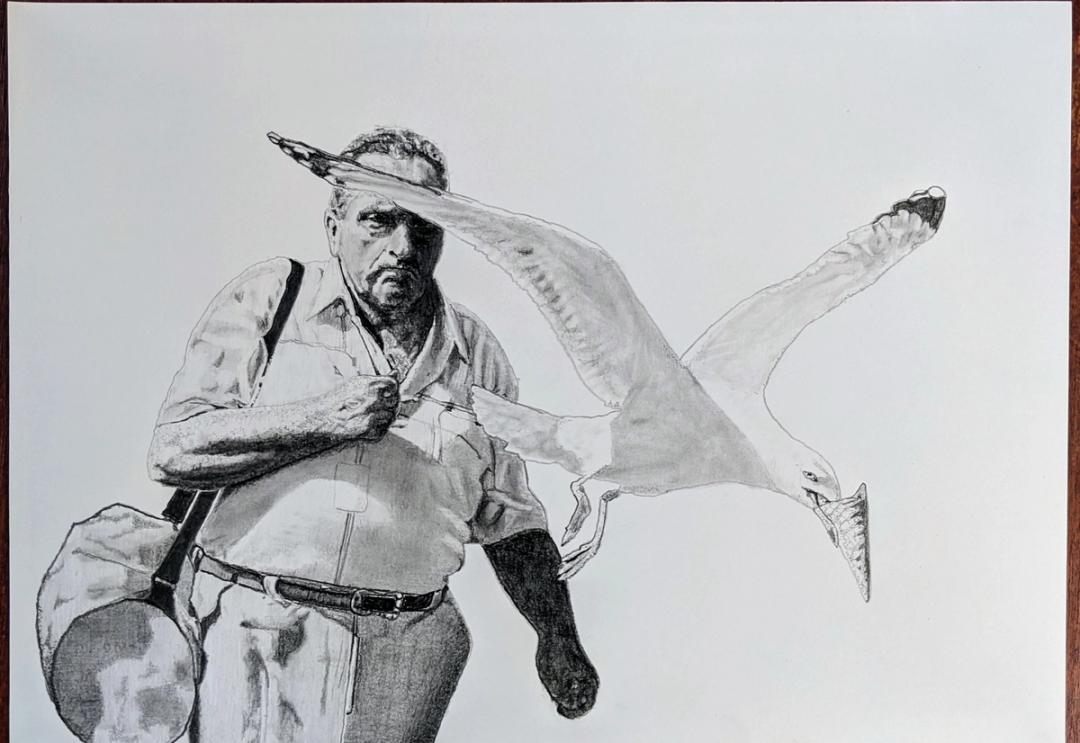 Pencil drawing of an older man with a bag and braces, stoically enduring a seagull swooping at his head.