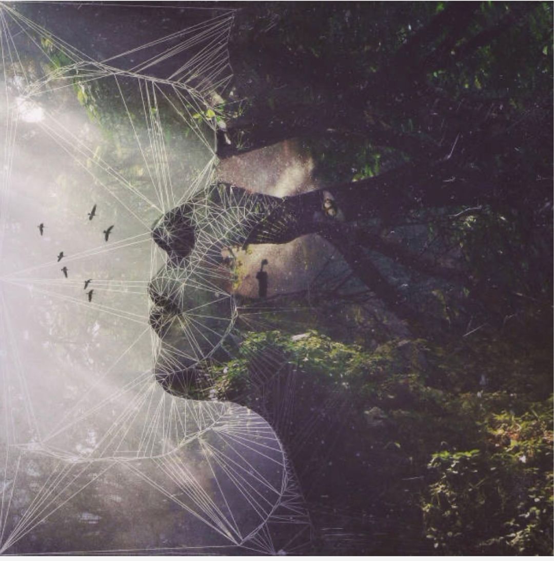 Digital composite of a geometric wireframe face overlaid on a dark forest scene, with birds in flight on the left.