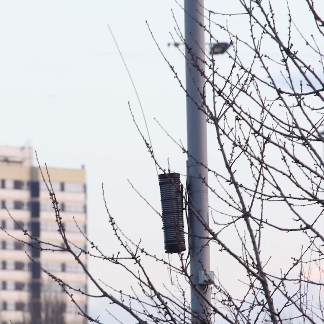 A radio transmitter installed high up on a lamppost. A tower block is in the background. There is a leafless tree in the foreground and the sky is clear, end of day turning to sunset