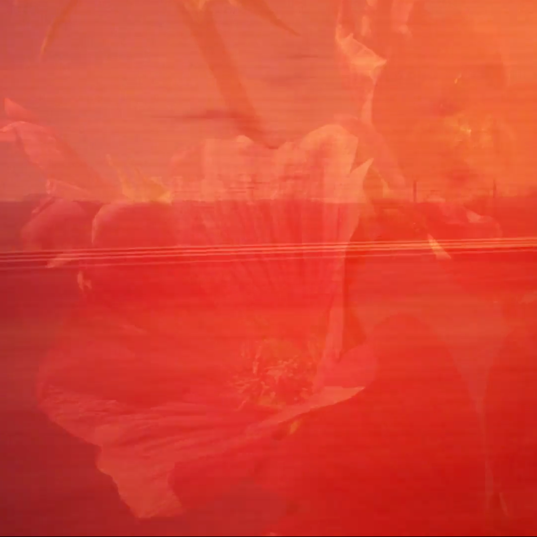 A digital collage taken from the film Fading Landscapes, showing the destruction of man made structures consuming nature