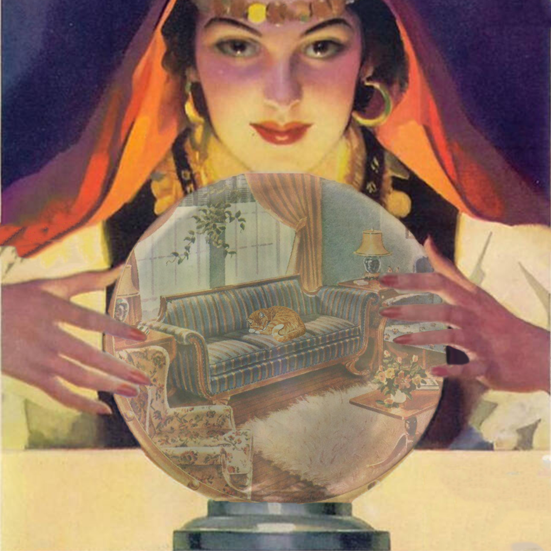 Digital collage depicting fortune teller with sleeping cat on sofa in crystal ball vibrant in vibrant, glowing tones.