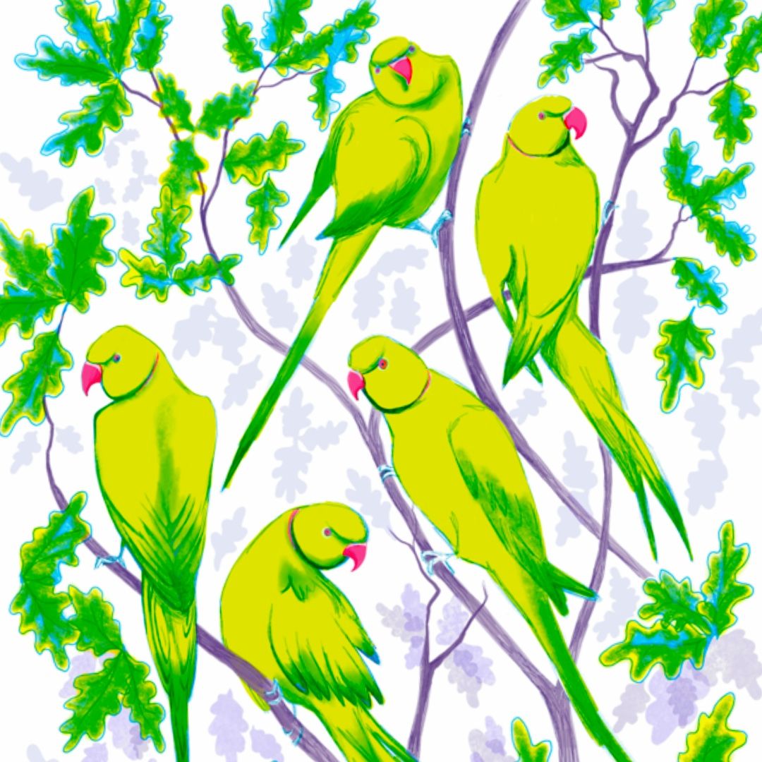 Stylised ring necked parakeets perched in branches with oak leaves around them