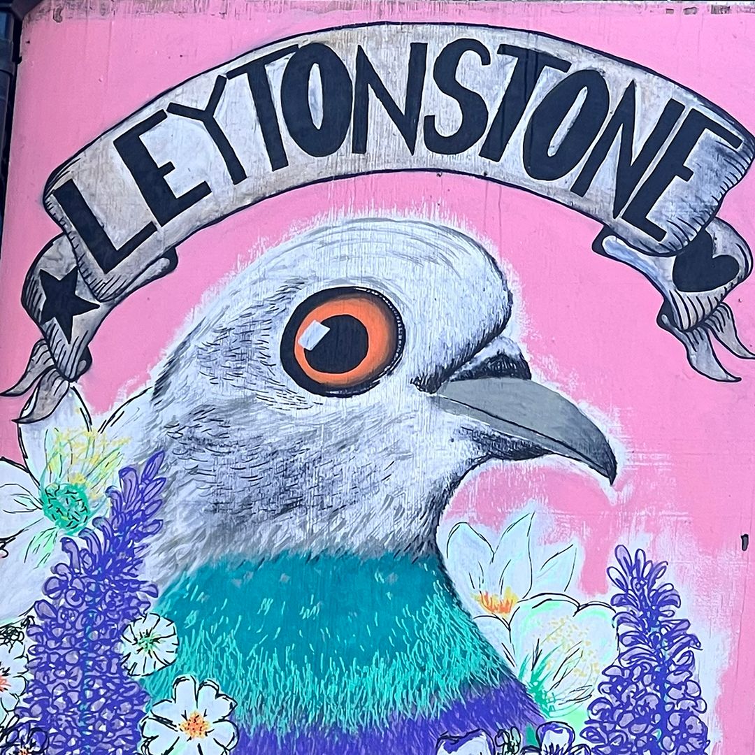 Street mural of a pigeon with an orange eye and teal chest, surrounded by flowers, beneath a banner reading "Leytonstone".