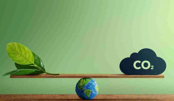 How Green Box Solutions Helps Businesses Achieve Net-Zero Goals — cover image