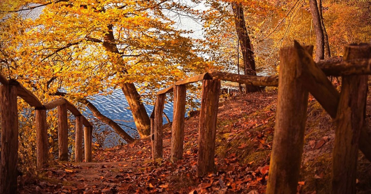 Listopad 2022. prema mjerenjima najtopliji u 30-ak godina u Europi