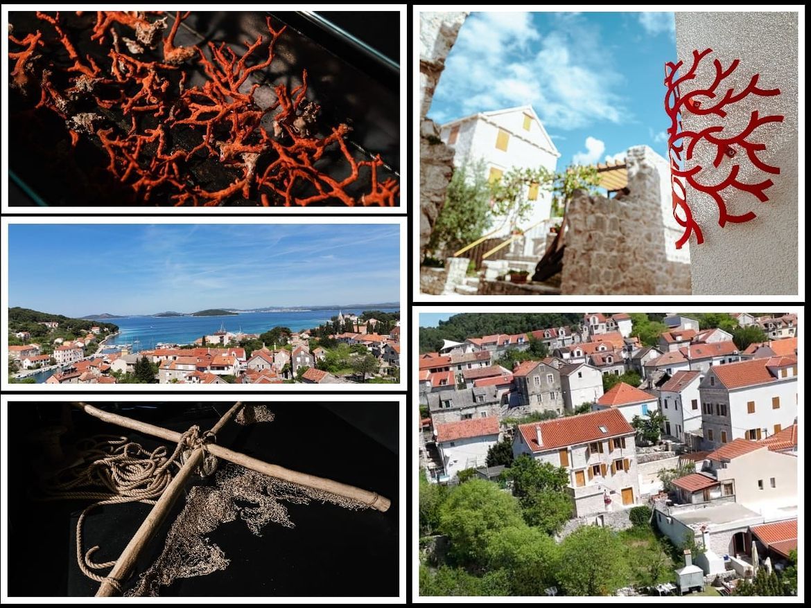 Otok Zlarin, u šibenskom arhipelagu, poznat je kao „otok koralja“. Iza ovog brenda krije se duboka priča o otoku koji u svom akvatoriju nema koraljnih grebena. Priča o hrabrosti lokalnih pomoraca, teškom životu otočanki te krhkom morskom ekosustavu koji danas, više nego ikada, vapi za zaštitom. 