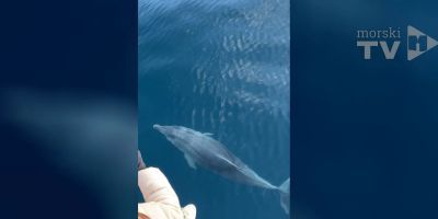 Uživali su u zimskom poslijepodnevu, a onda ih je počastila skupina dupina koji se naprosto nisu odvajali od njih. Matija i njegova djevojka toliko su bili oduševljeni, da su snimke odlučili podijeliti s čitateljima Morskog.