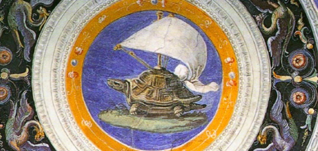 A turtle with a sail on top of its shell.