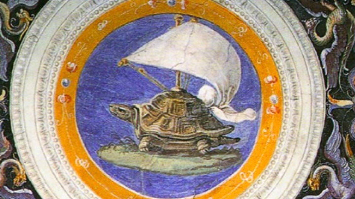 A turtle with a sail on top of its shell.