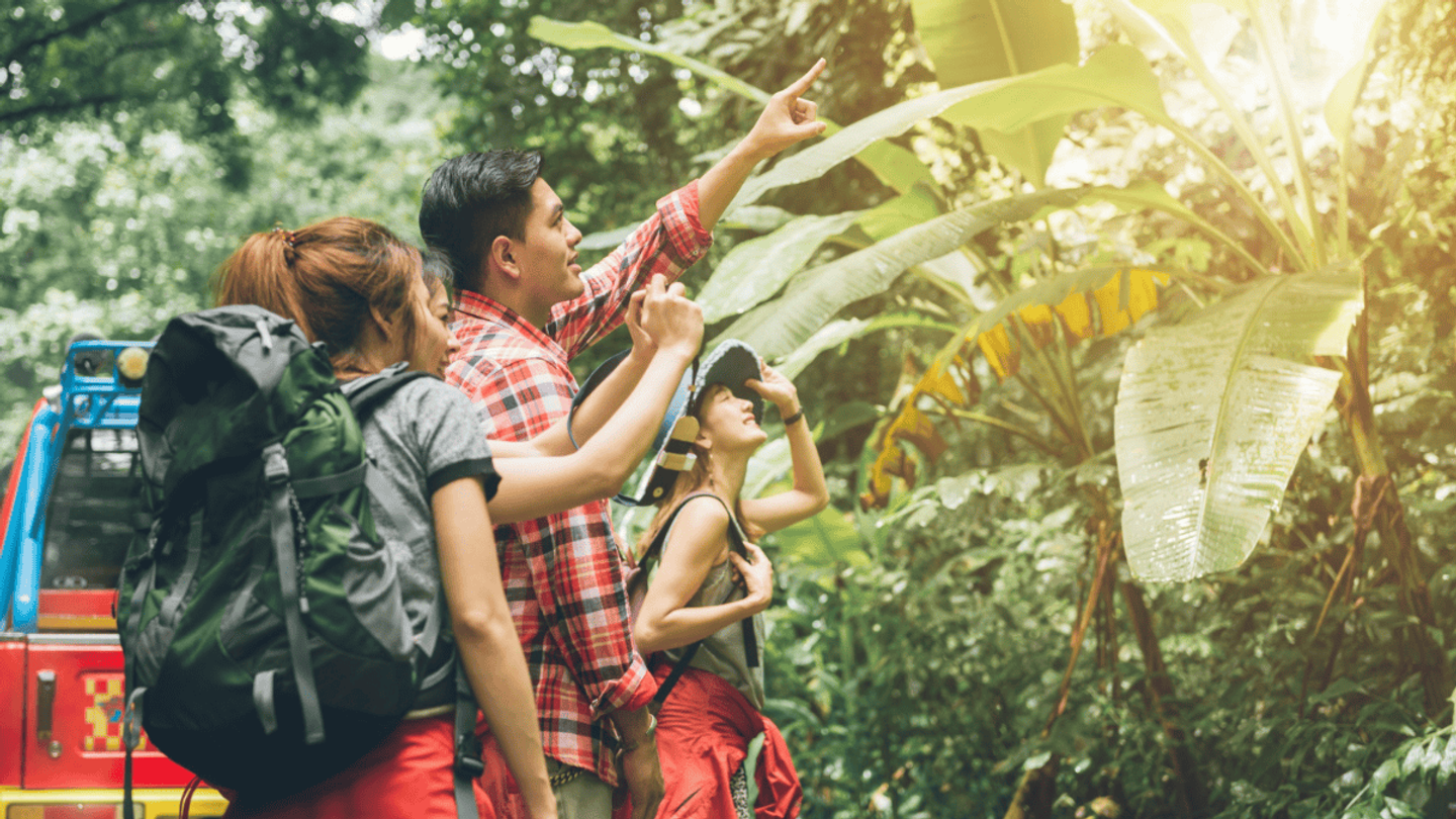 Travelers going on a jungle tour that booked through their hotel.