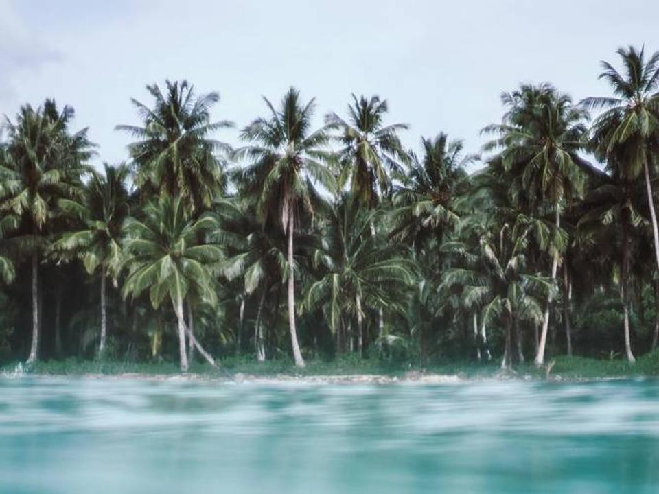 Surf Spirit