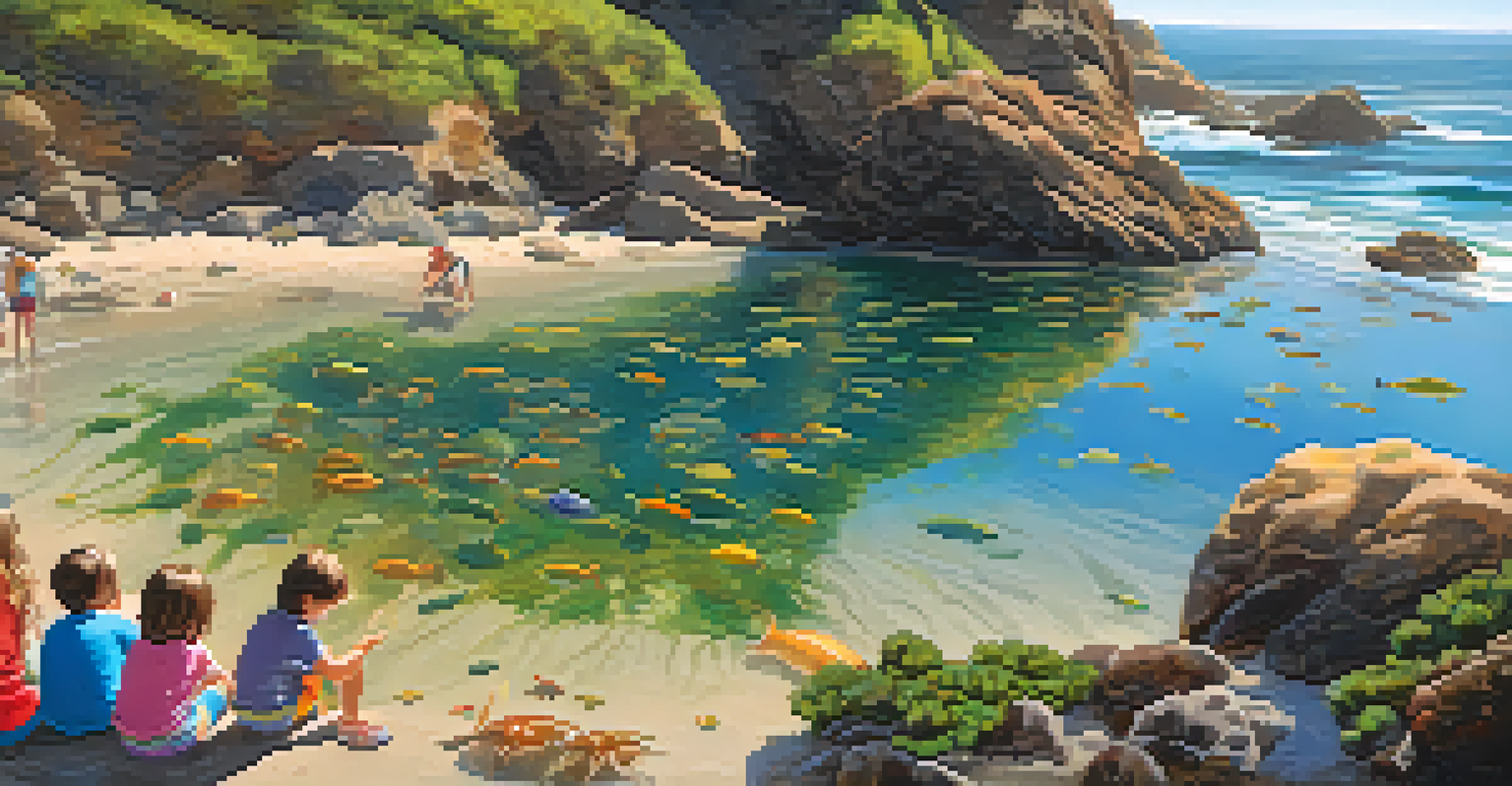 Children exploring a tide pool in Malibu, observing colorful marine creatures under soft sunlight.