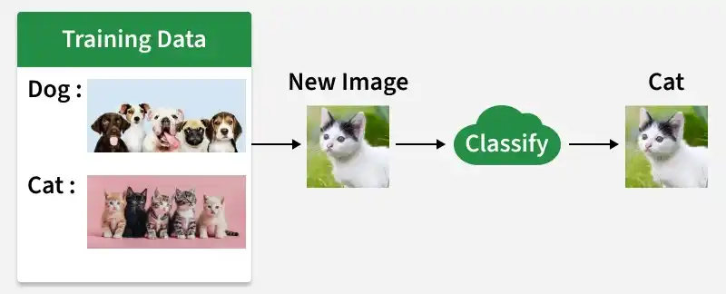 Figure 1. Classification Dog and Cat