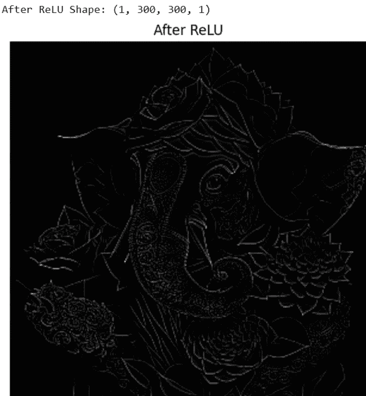 Figure 6. After apply ReLU activation function for sample image