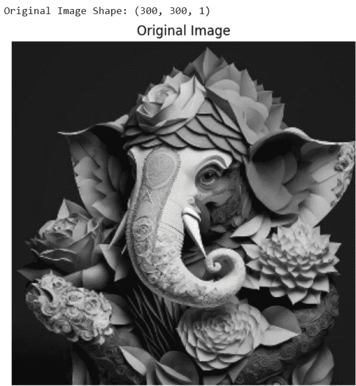 Figure 4. Original Image sample result