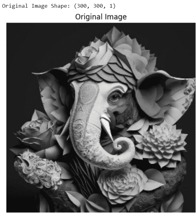 Figure 4. Original Image sample result