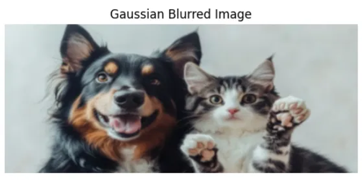 Figure 2. Gaussian Blurred Image