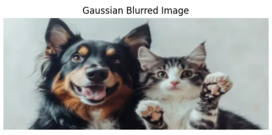 Figure 2. Gaussian Blurred Image
