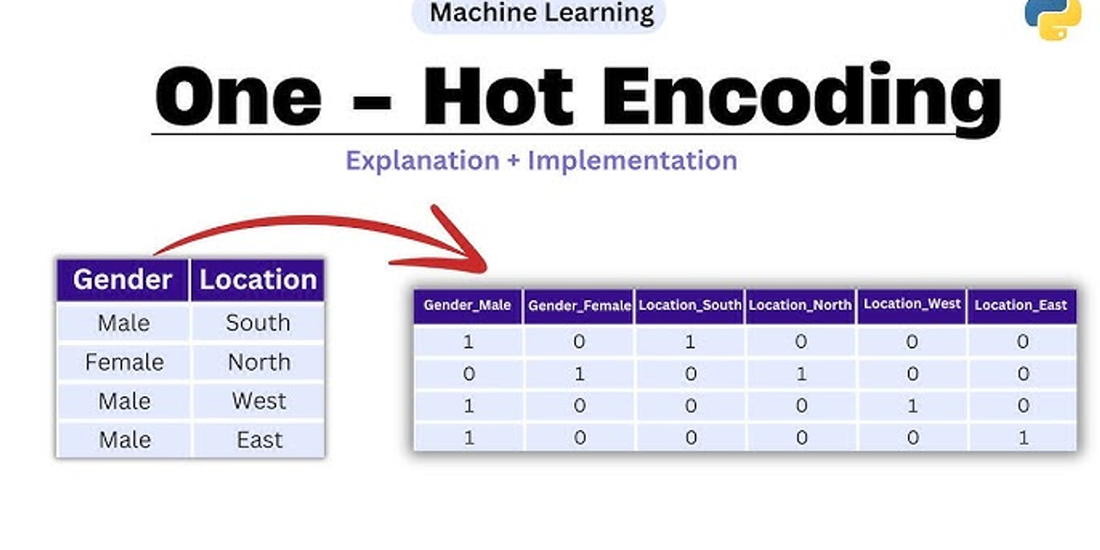 One Hot Encoding vs Label Encoding: Which One Should You Use?