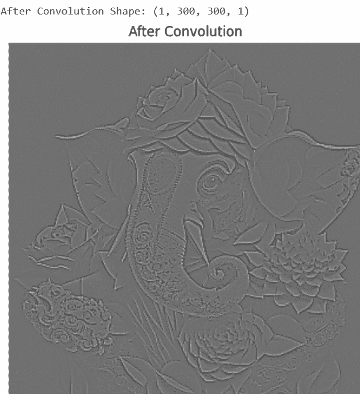 Figure 5. Image after convolution shape 