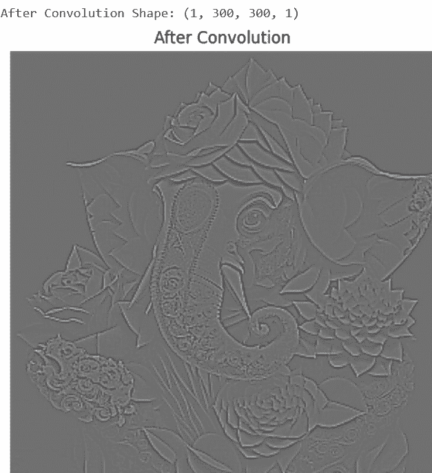 Figure 5. Image after convolution shape