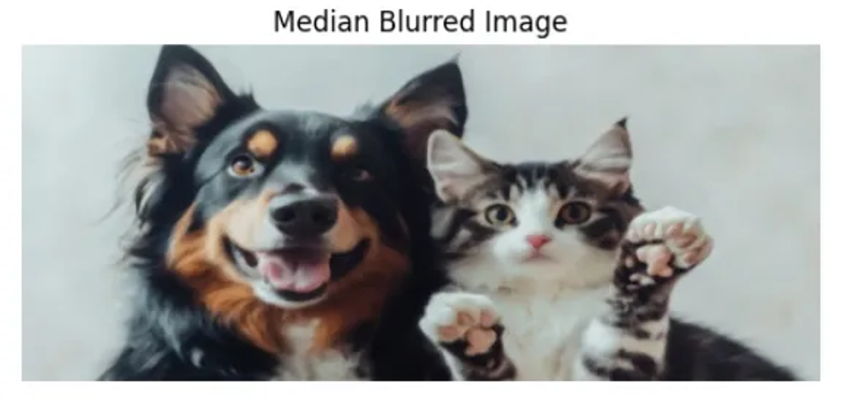 Figure 3. Median Blur