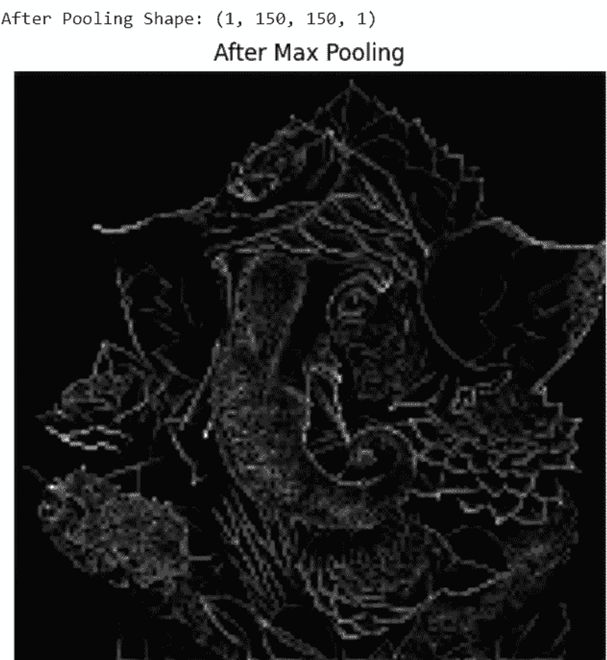 Figure 7. After apply max pooling layer 