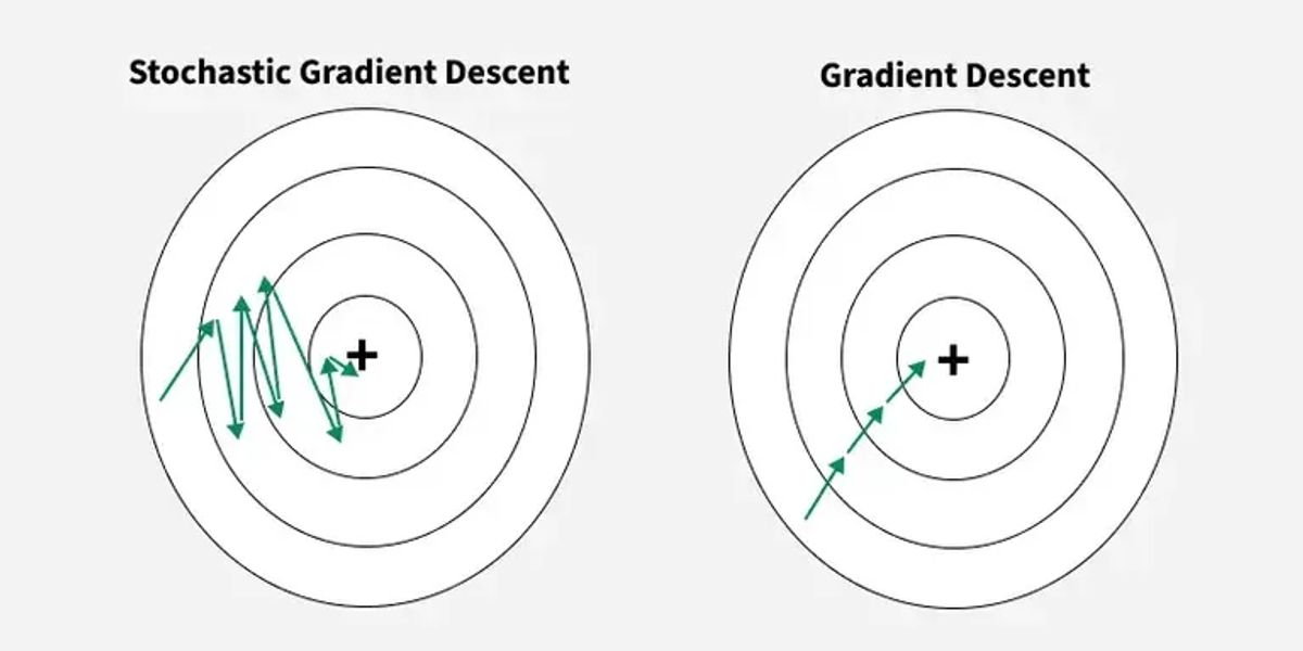 Figure 1. Path followed by batch gradient descent vs path followed by SGD