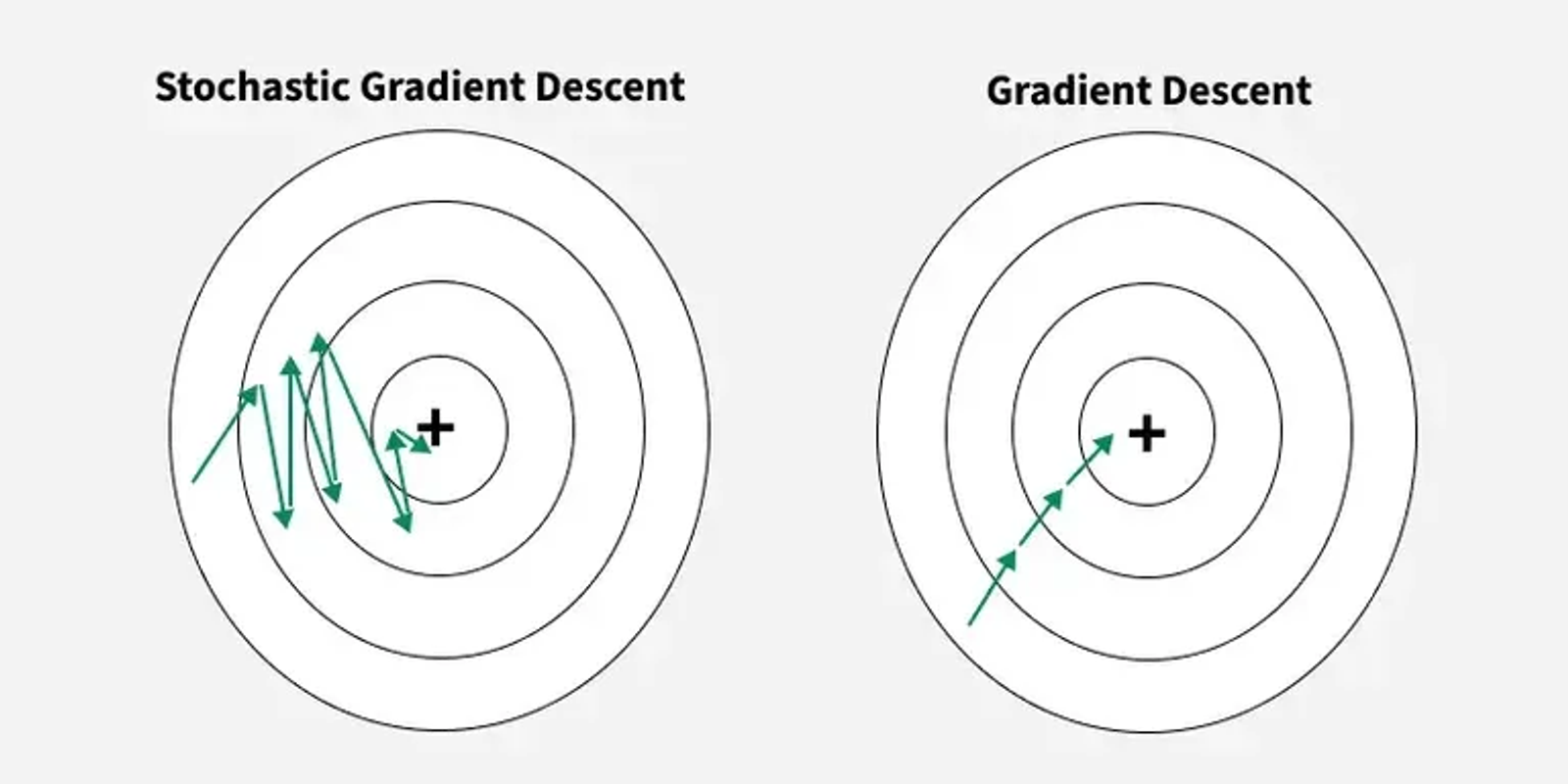 Stochastic Gradient Descent (SGD): The Backbone of Machine Learning Optimization