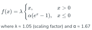 Figure 13. SELU formula