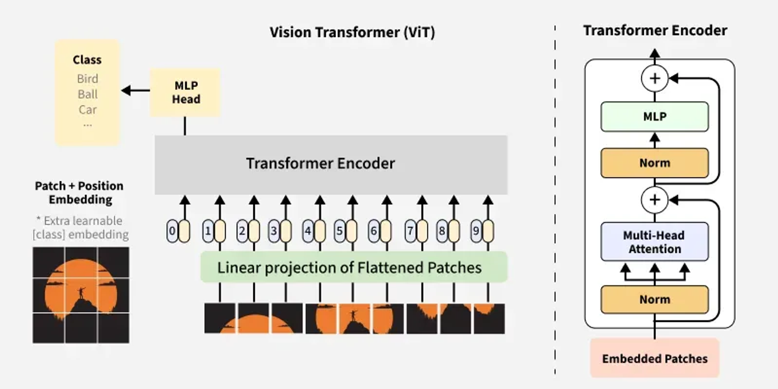 Vision Transformers (ViT) in Image Recognition: A Deep Learning Breakthrough