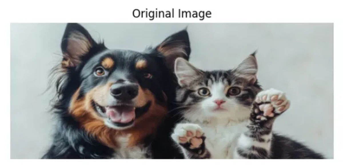 Figure 1. Original Image