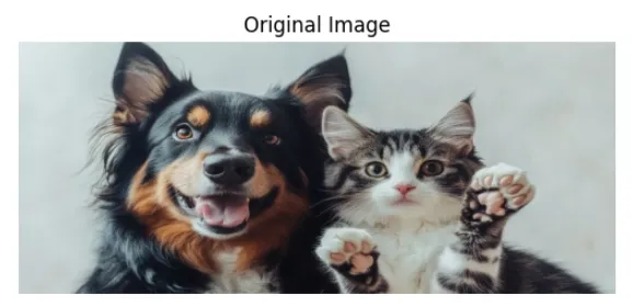 Figure 1. Original Image