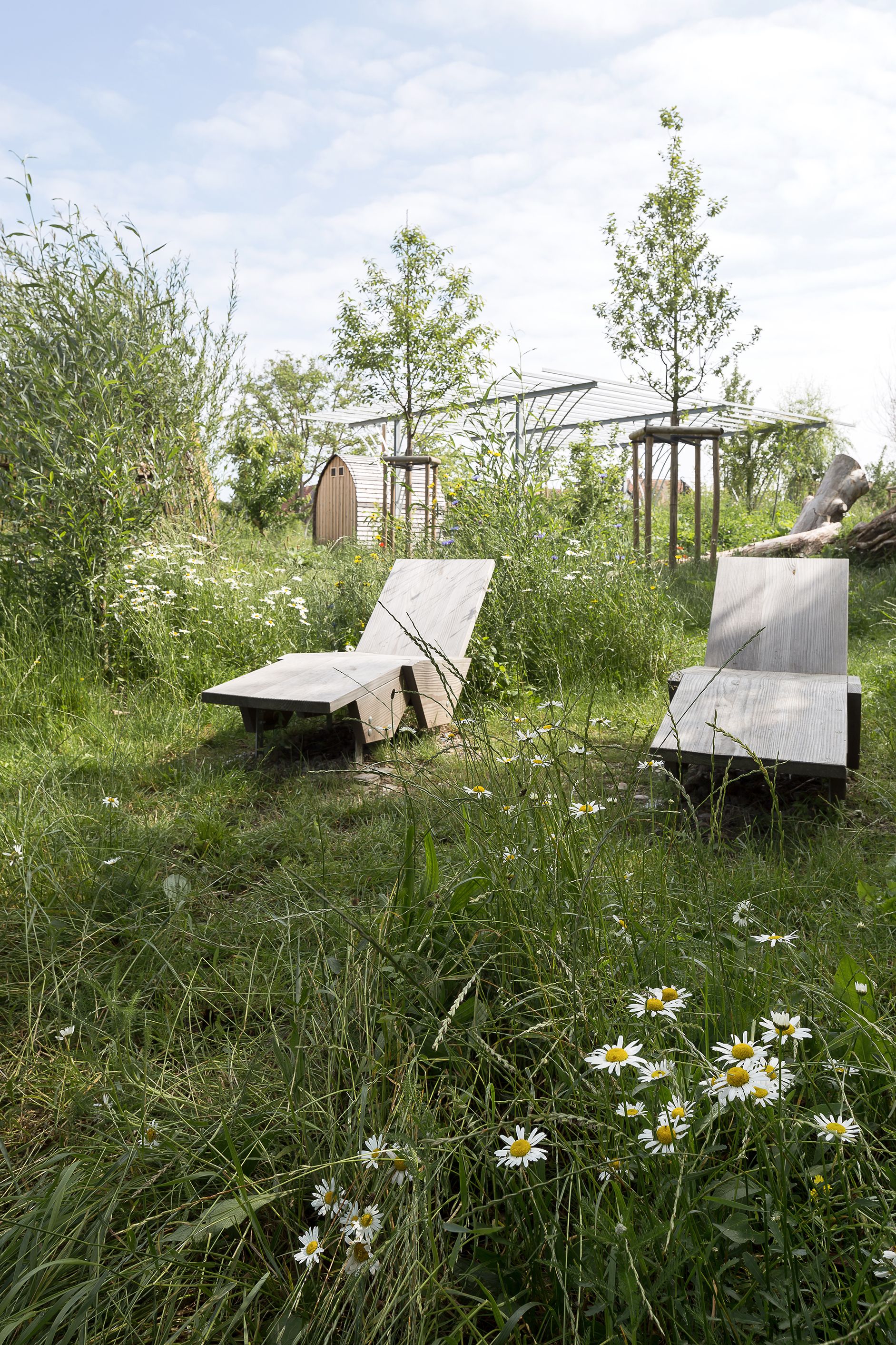 Collectif StudioLada