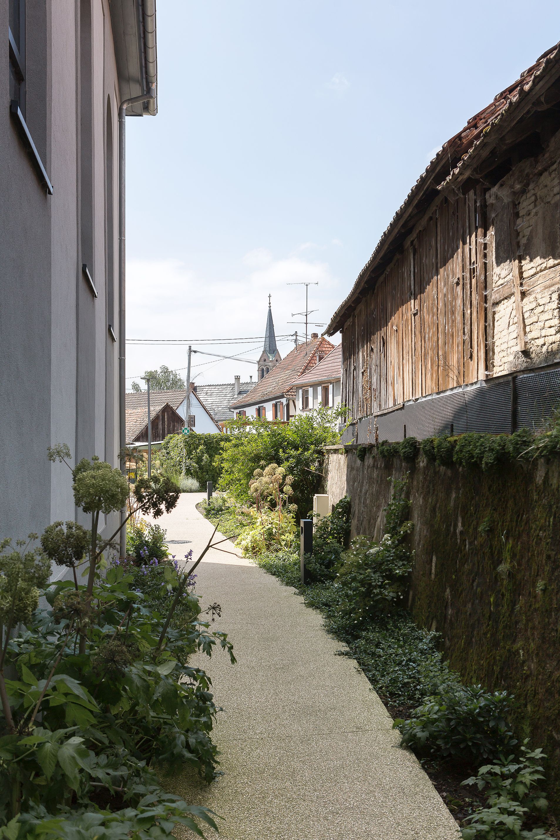 Collectif StudioLada