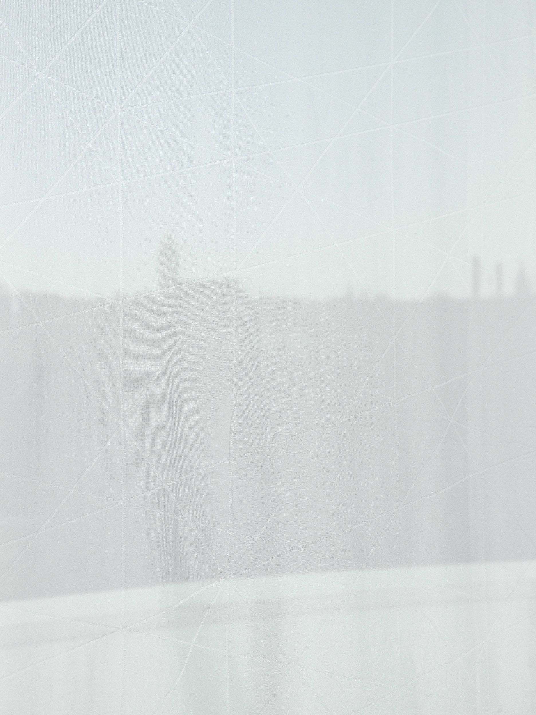 Collectif StudioLada